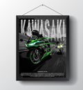Kawasaki ZX10R